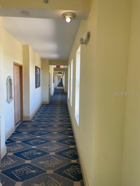 Building Photo - 101 Palm Harbor Pkwy