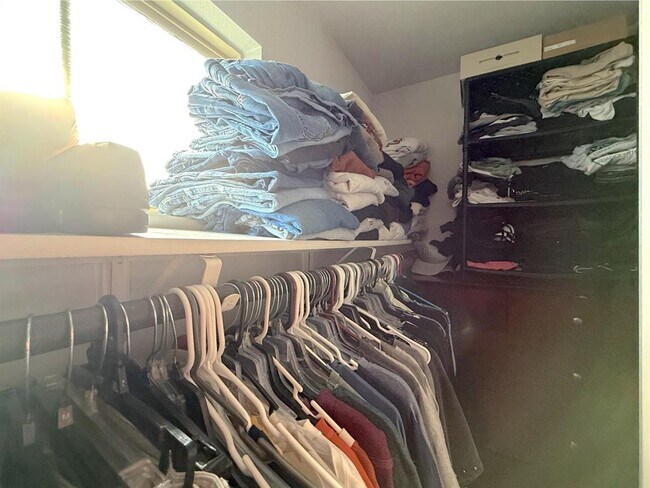 Building Photo - 2004 Pecan Island Dr