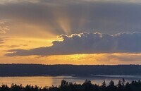 Building Photo - Spacious North Tacoma waterfront Unit with Million dollar Puget Sound Views