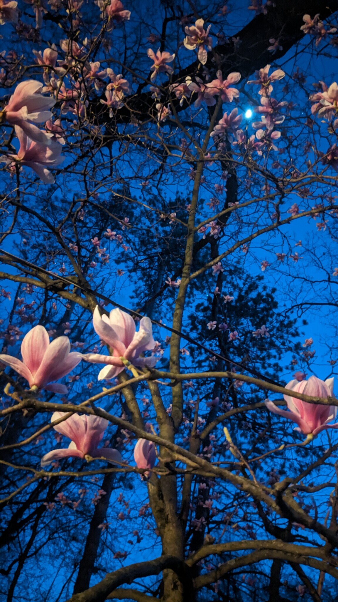 Building Photo - 8970 E Gull Lake Dr