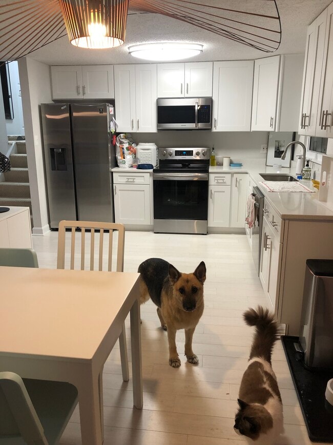 View of the full size kitchen shared between all tenants. - 7922 Fitzroy St