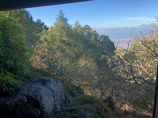 Building Photo - Lovely 3/2 home in the hills of El Cerrito with breathtaking views of the bay!