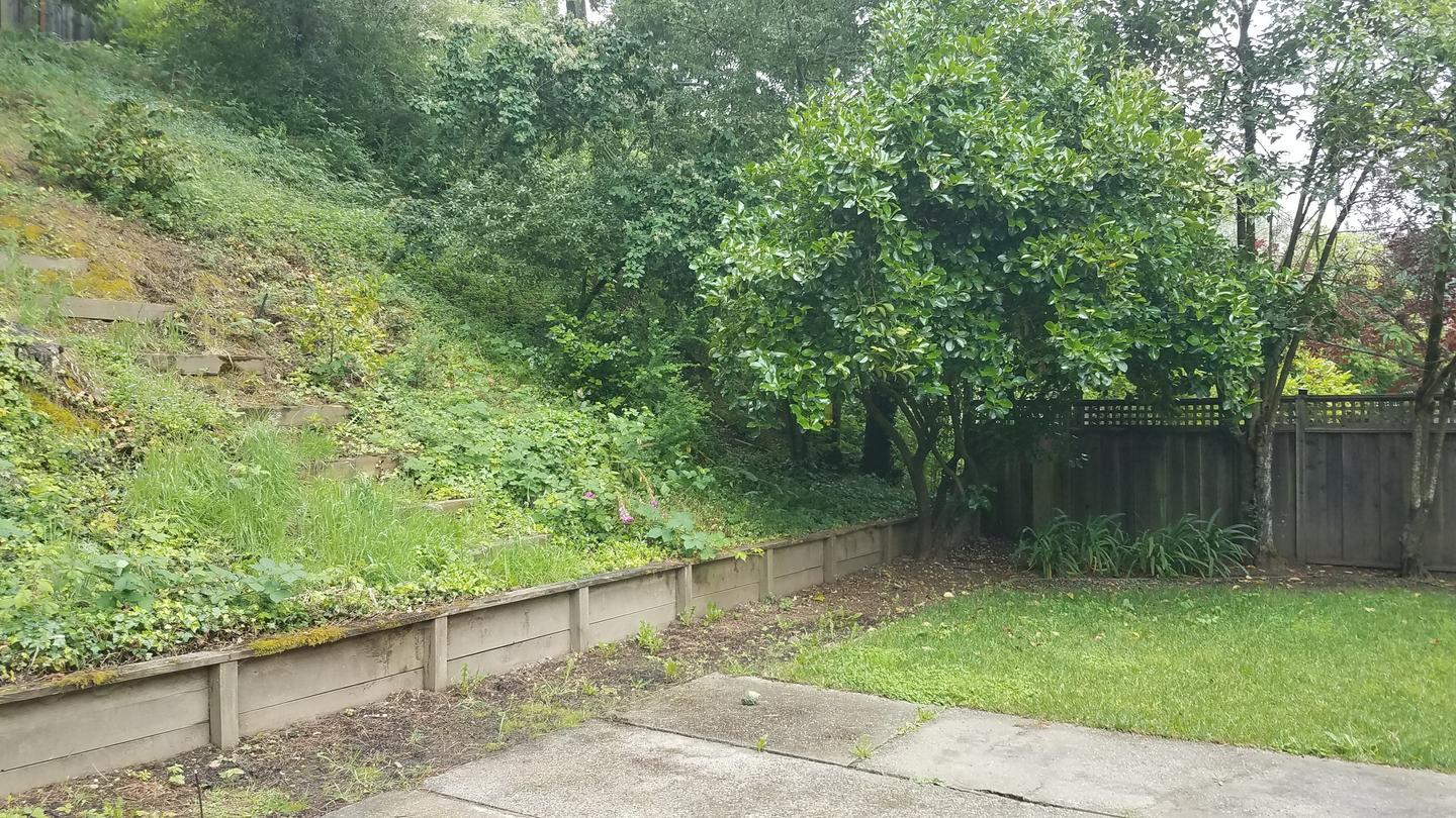 Building Photo - Spacious updated 3BR home with deck & chef’s Kitchen