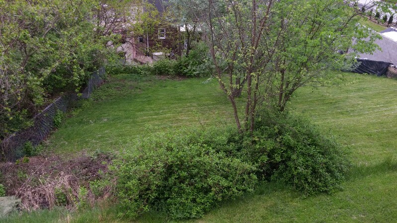 Building Photo - 27 Noster St