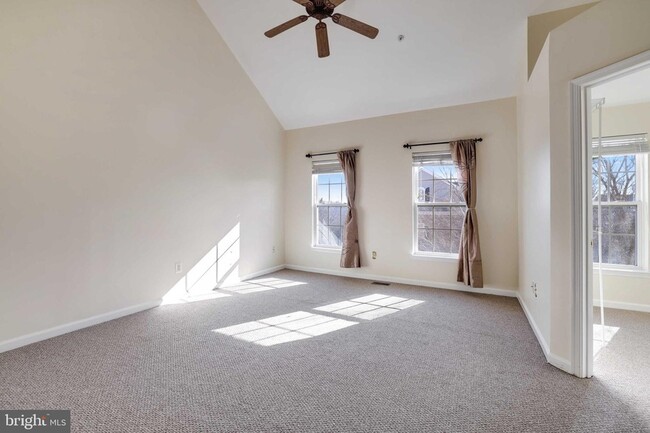 Building Photo - 409 Phelps St