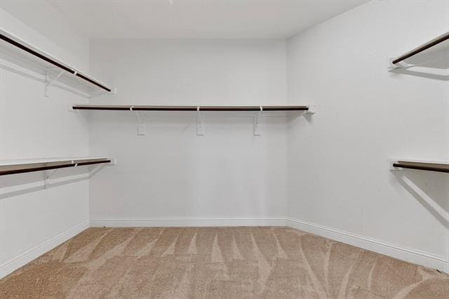 Building Photo - 10121 Emily Pass