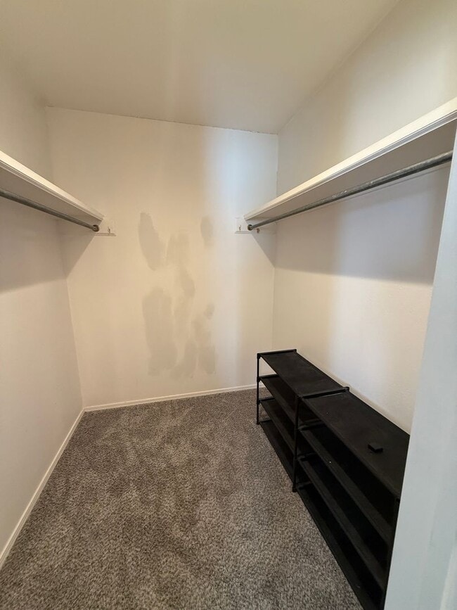 Building Photo - Updated Beauty 3/2