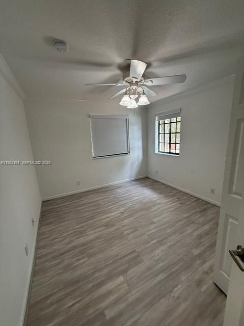 Building Photo - 3872 Tree Top Dr