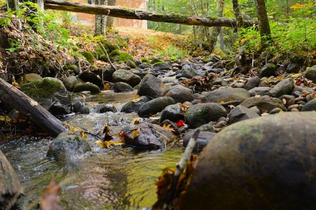 Building Photo - Seasonal 6 Month Lease Available! Charming 2-bedroom, 2-bathroom townhouse at Winterbrook Village