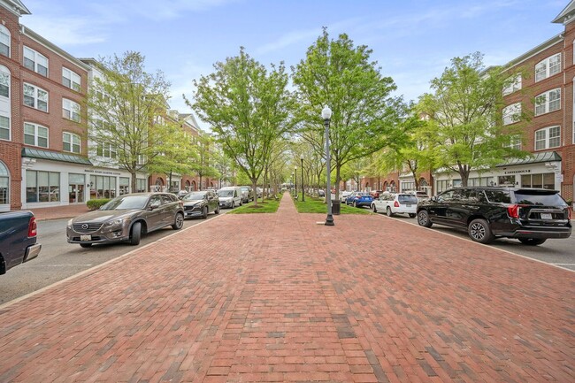 Building Photo - 171 Somervelle St