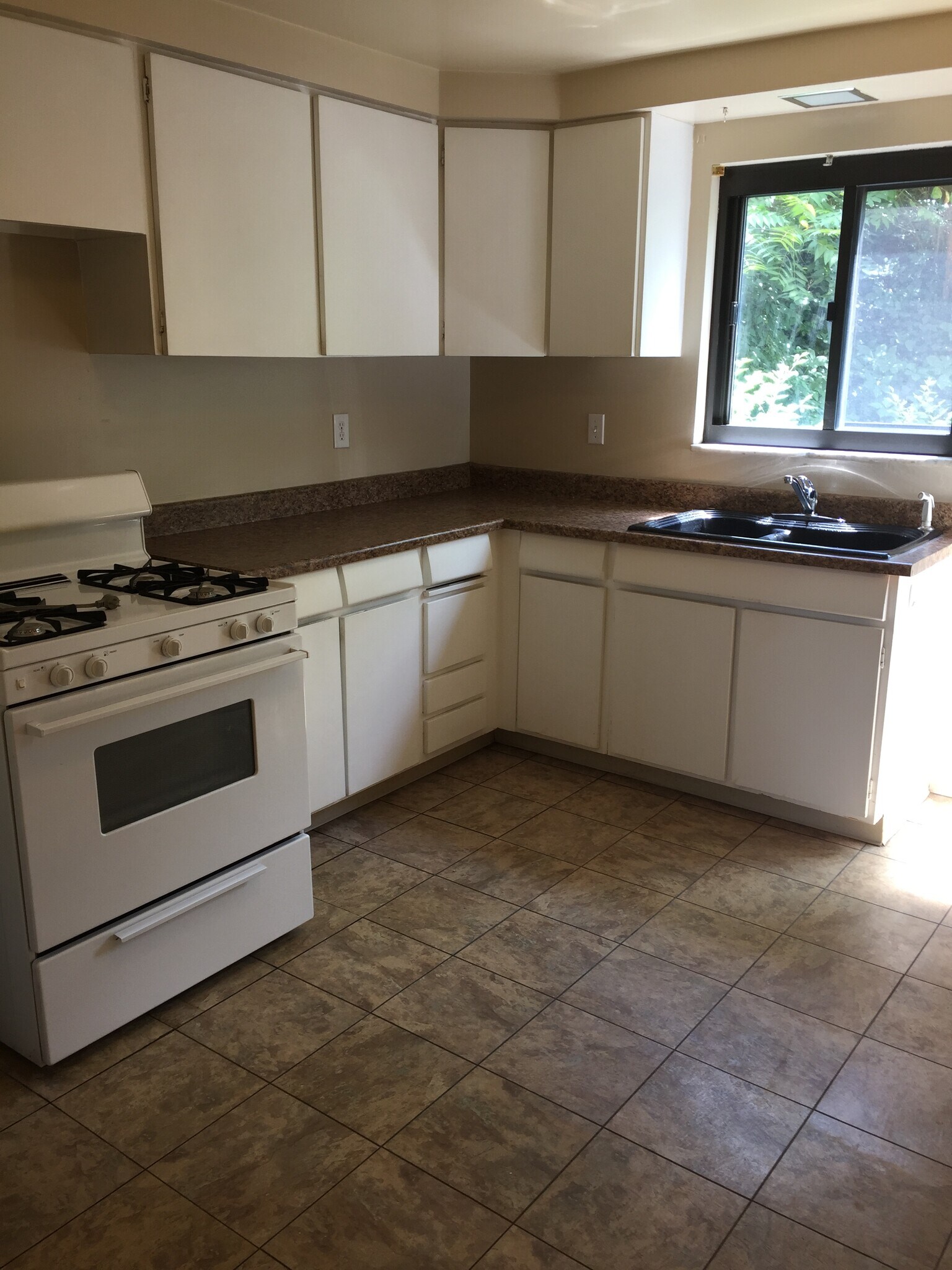 Kitchen - 229 Marylea Ave