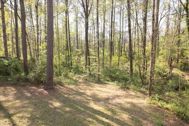 Building Photo - Spacious 3/2 Ranch Home w/ 2 Car Garage in Quiet Neighborhood