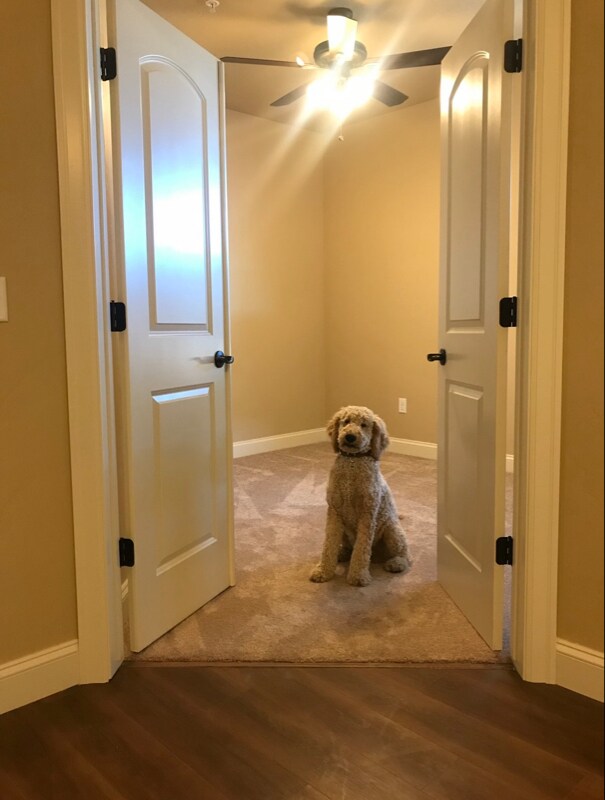 Building Photo - 4100 Mullan Rd