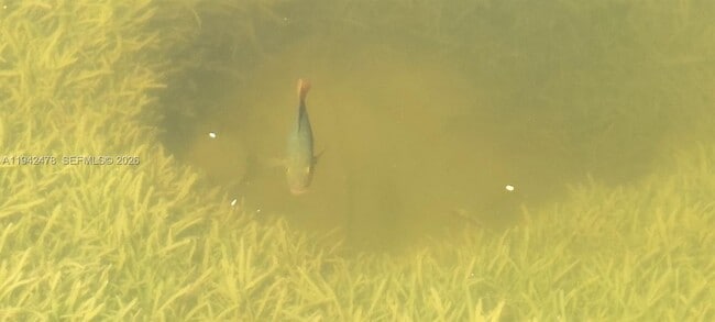 Building Photo - 4821 SW 129th Ave