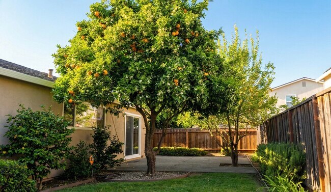 Building Photo - 20254 Meadowlark Dr