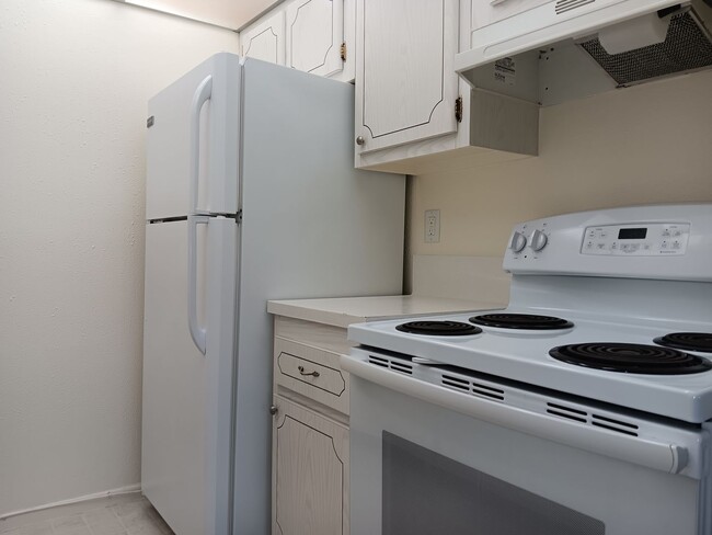 Building Photo - Sunny suite is SWEET in north St Pete - 2/...