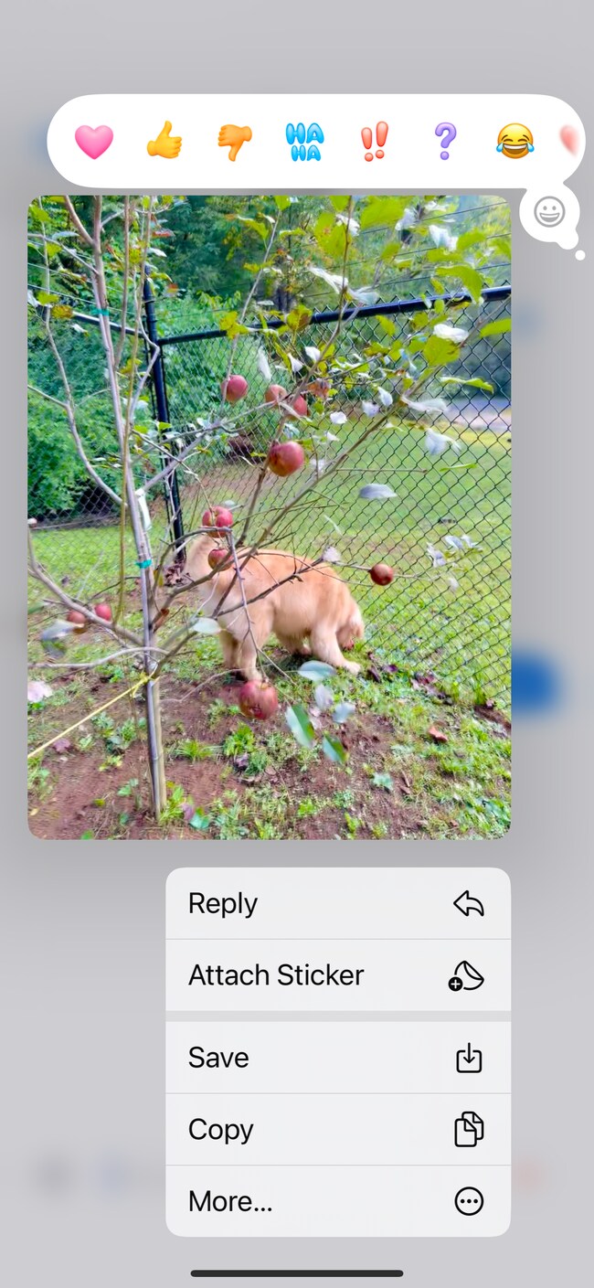 Building Photo - 85 Hillcrest Dr