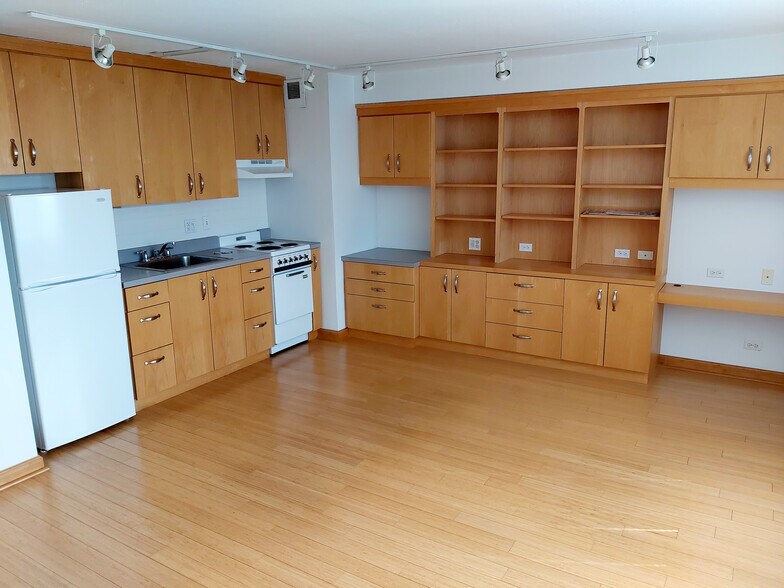 Living room - 3100 N Lake Shore Dr