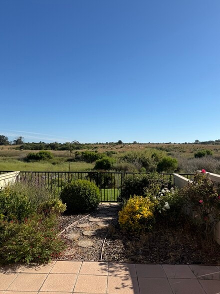 Backyard View - 7061 Marymount Way