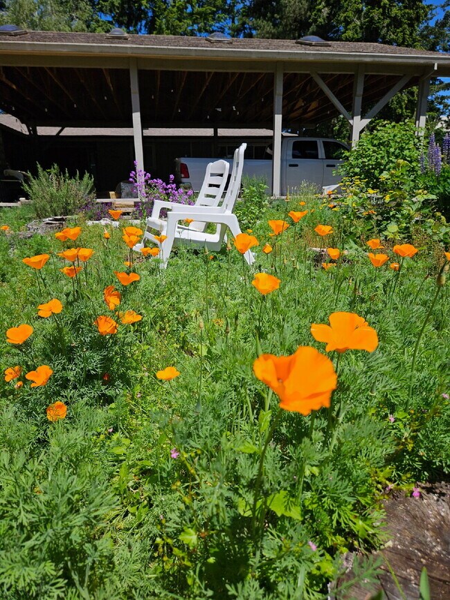 Building Photo - Country Comfort Meets Modern Living-Spacious 3BR Home with Shop and Hot Tub