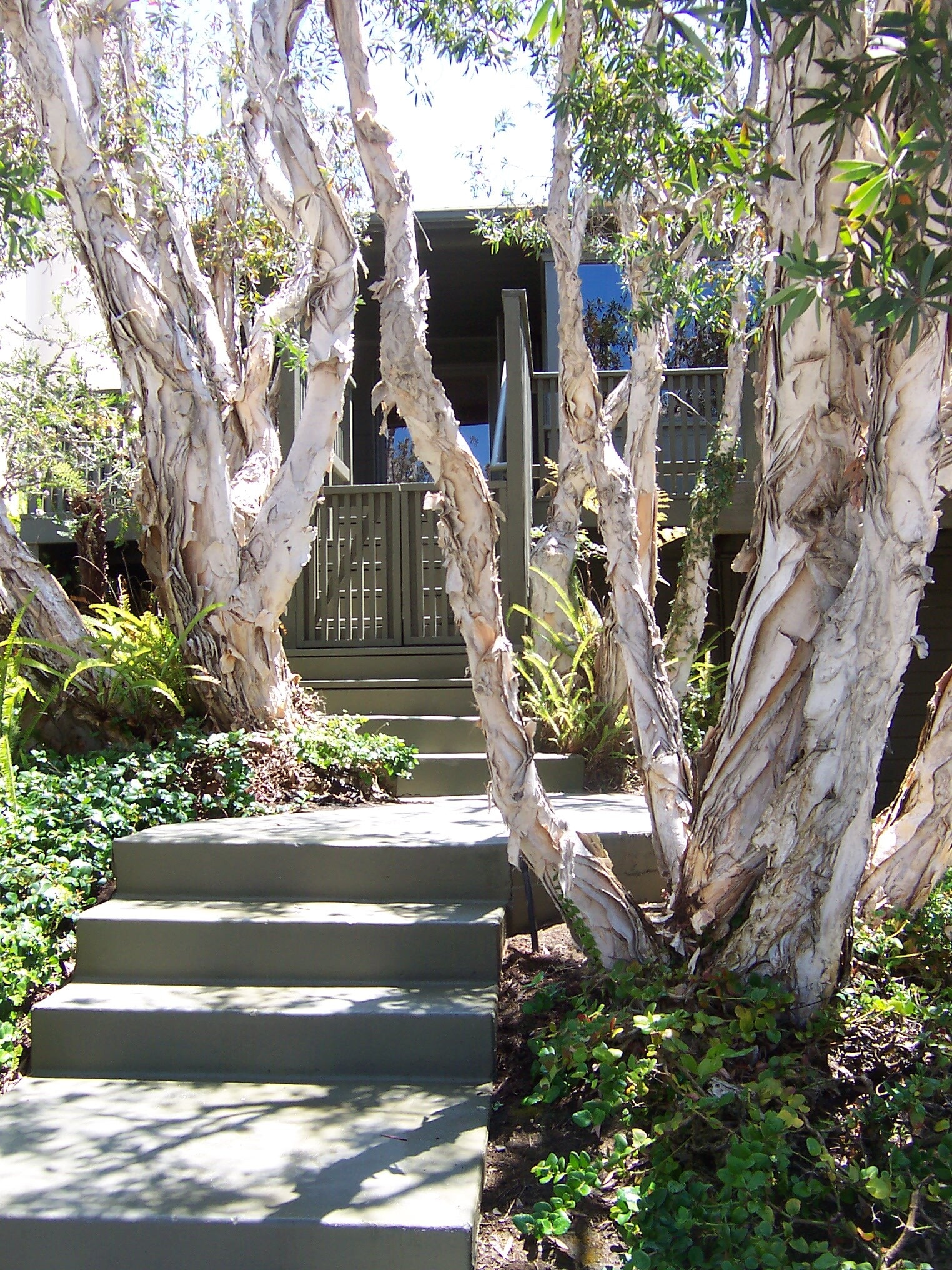 Building Photo - 1225 Silverado St