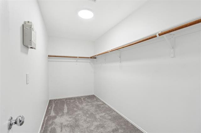 Building Photo - 3804 McClintick Rd