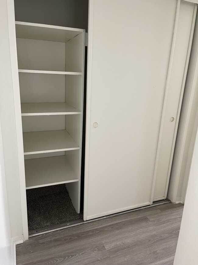 Hallway closet - 1675 W Pampas Ln