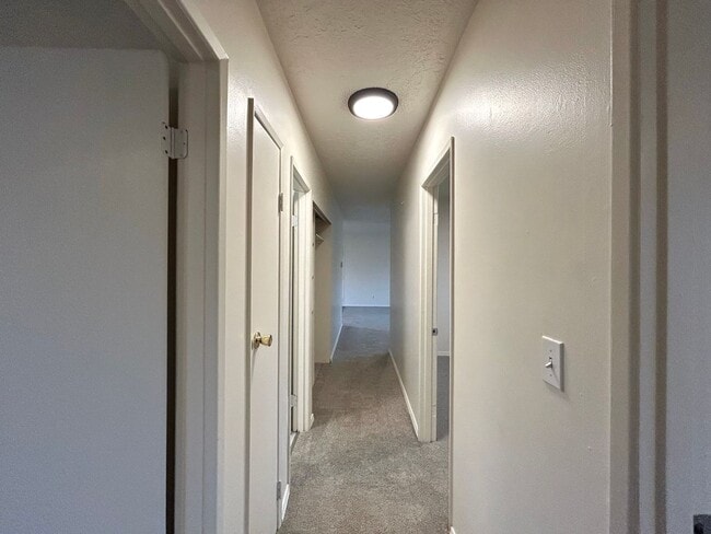 Building Photo - Freshly Updated 3-Bedroom Home with Spacious Backyard and Garage