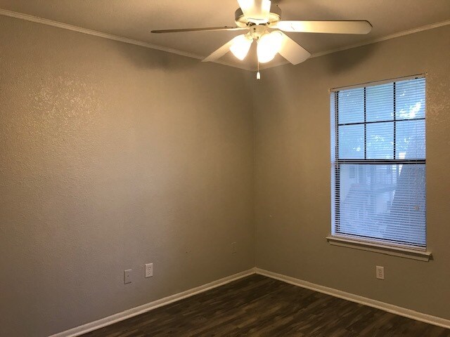 Building Photo - 1624 Aquarena Springs Dr