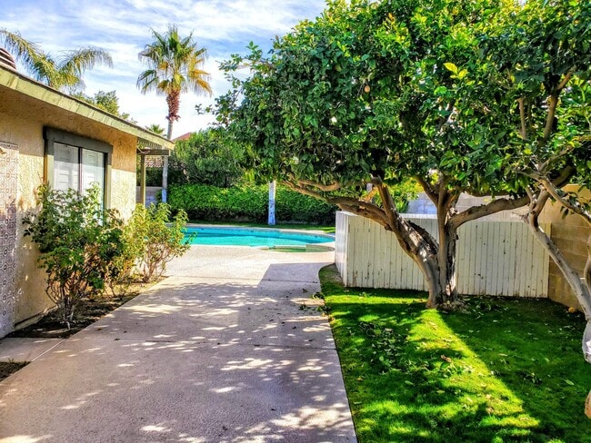 Primary Photo - Single Story Beautiful House - Close to Ev...