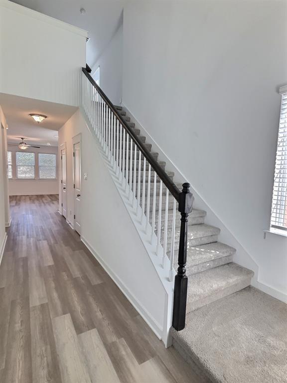 Building Photo - 1100 Terrace View Dr