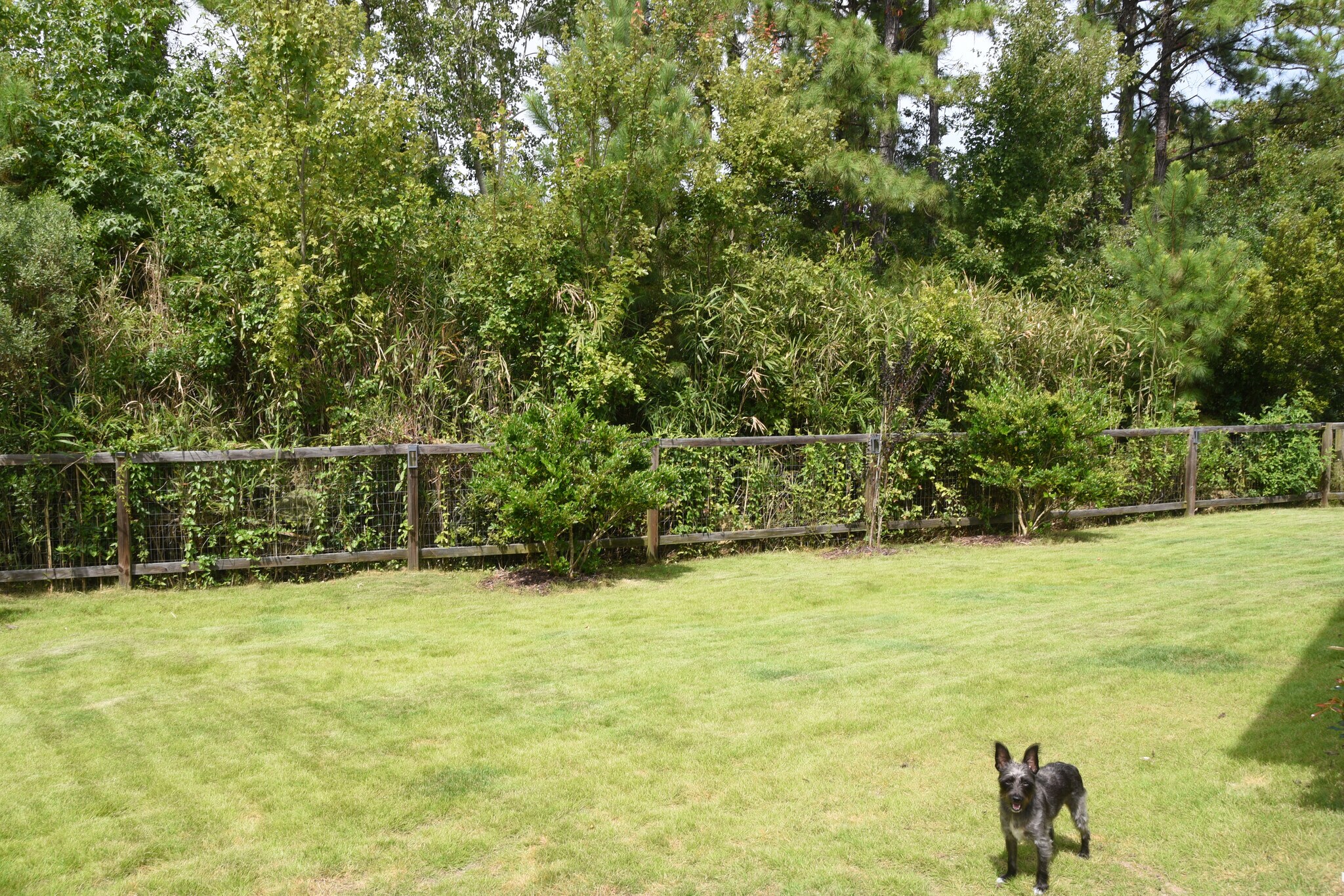 Building Photo - 1908 Springwood Dr