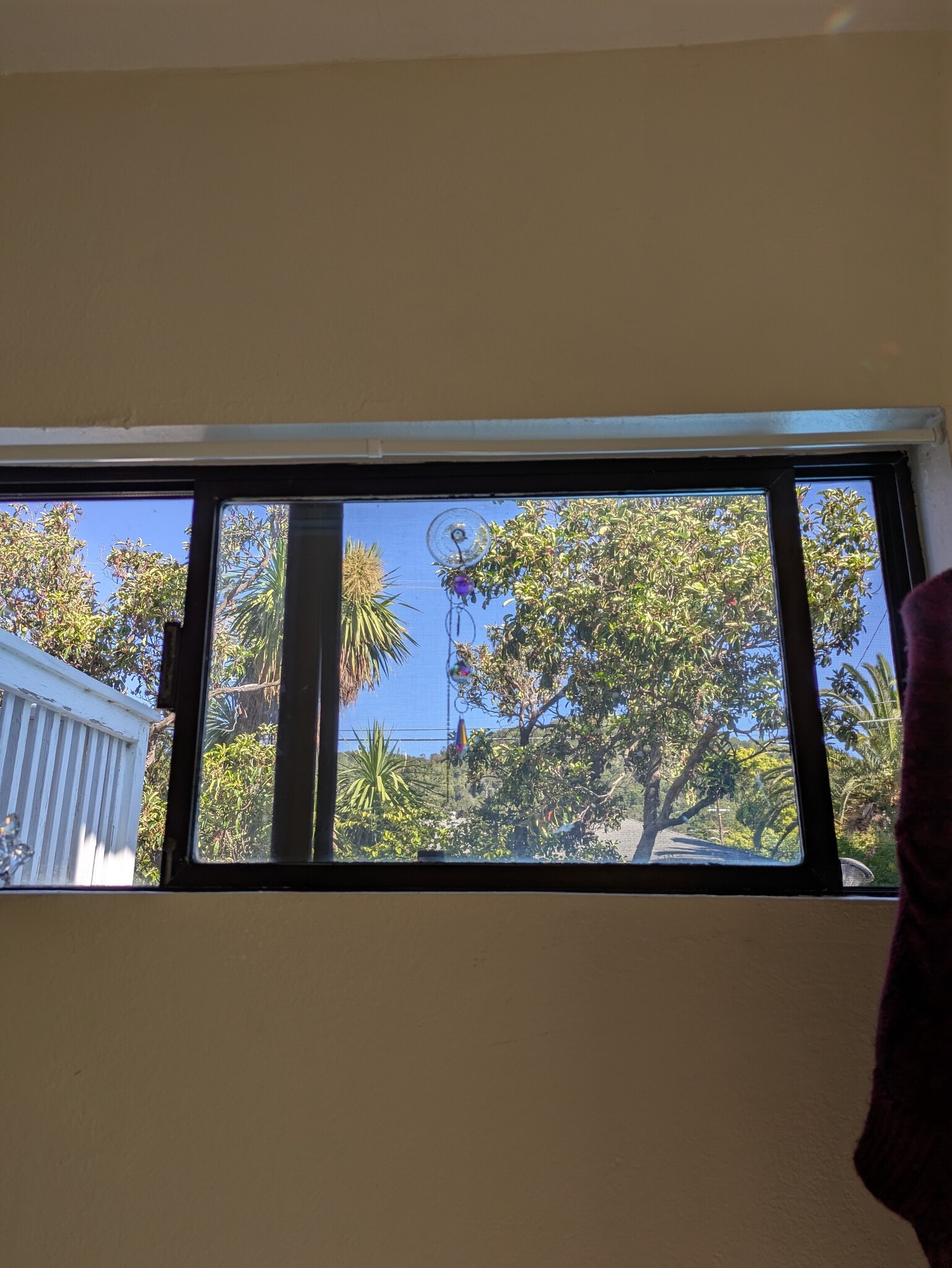 Bedroom Window - 5 Vendola Dr
