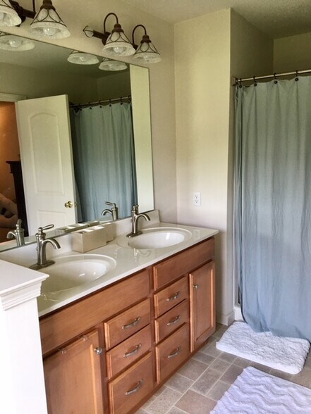 3rd floor master bathroom - 602 Petersburg Rd