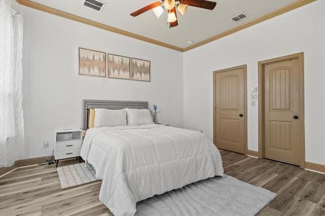 Building Photo - 673 Cedar Elm Trail