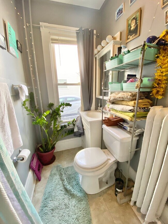 Building Photo - 36 Clarke St