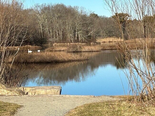 Building Photo - 64 Jireh St