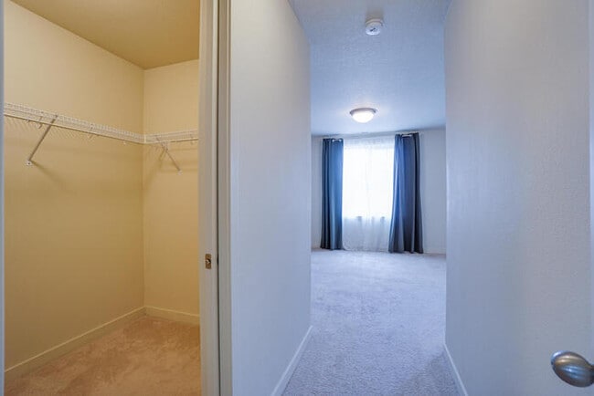 Building Photo - THREE BEDROOM HOUSE