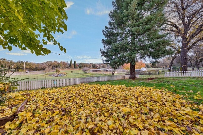 Building Photo - Cozy 1 Bedroom ADU With Stunning Pasture & Pond Views in Rescue!