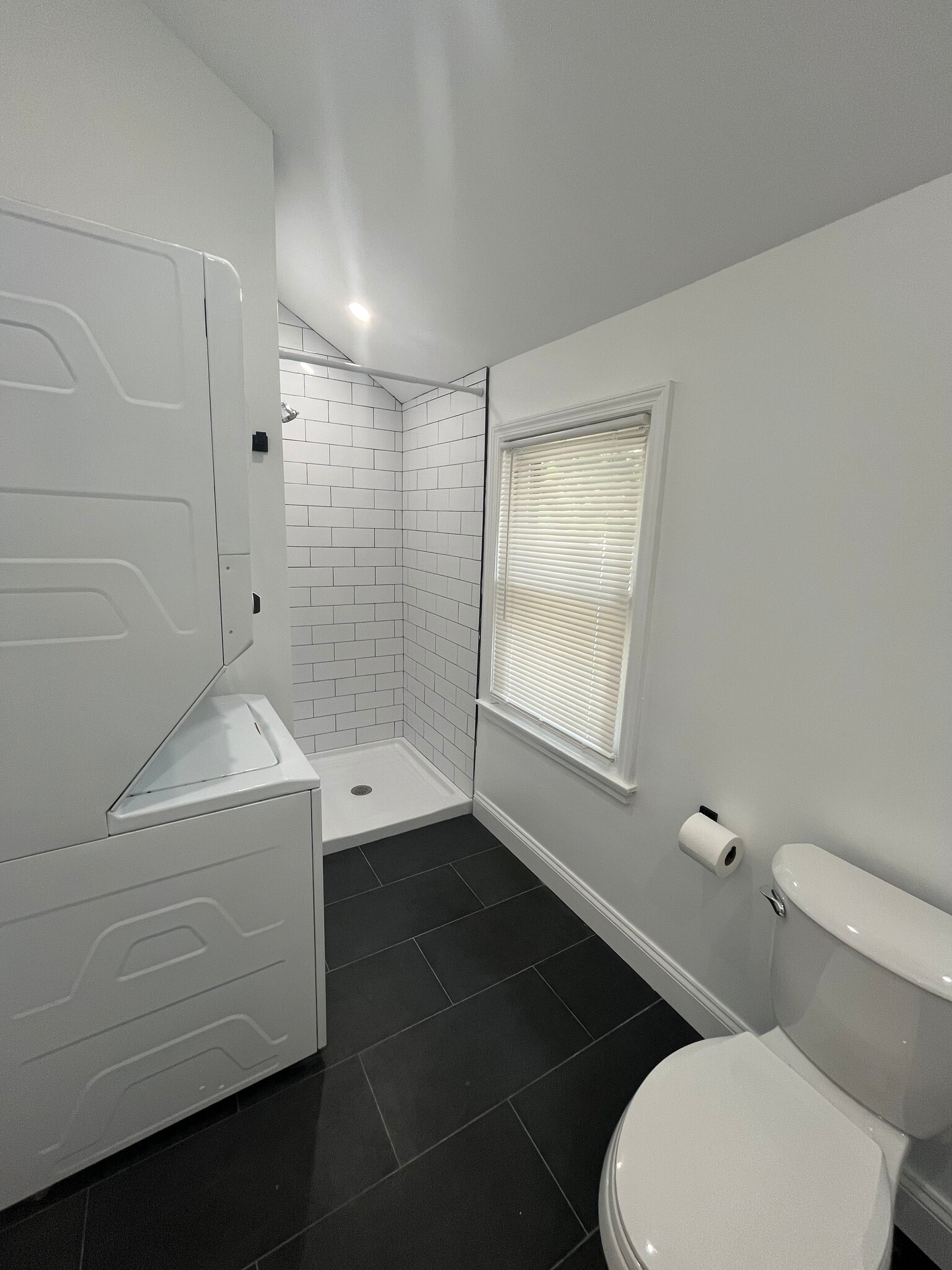 Renovated Shower - 210 E Lakewood St