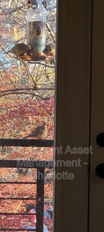 Building Photo - 207 N Dotger Ave