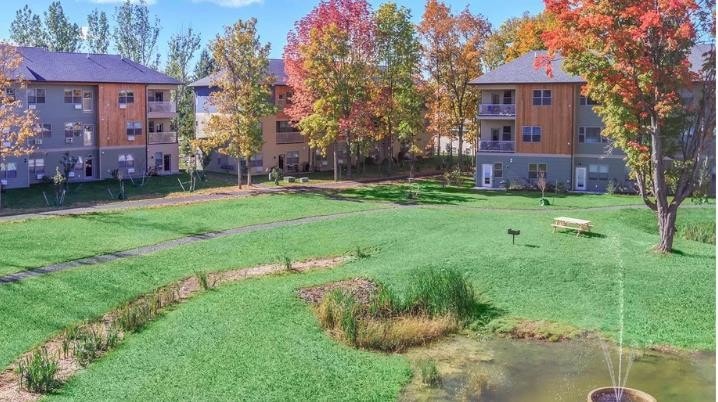 Wetland view off balcony - Village Solars
