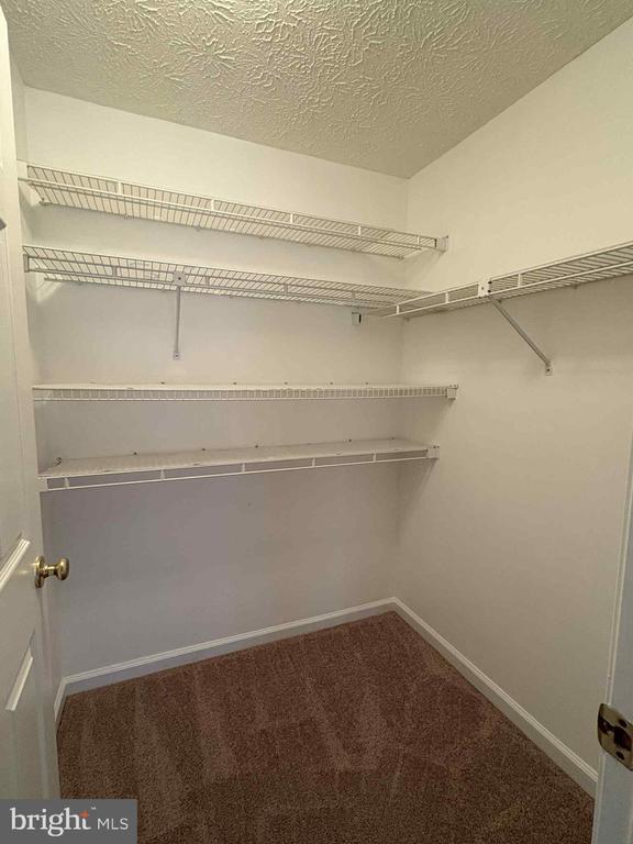 Building Photo - 701 Orchard Overlook