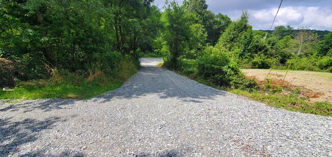 Building Photo - 427 Sugarloaf Rd