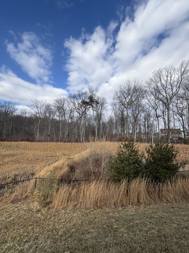 Building Photo - Stunning & Spacious Middle River 4bd/2.5ba Home with W/D, AC, Garage and more! Available now