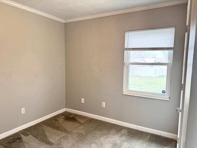 Building Photo - Available Now