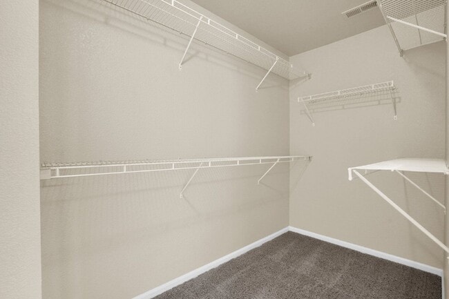 Building Photo - 2424 St Paul Dr