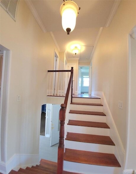 Building Photo - 244 Martin Dr