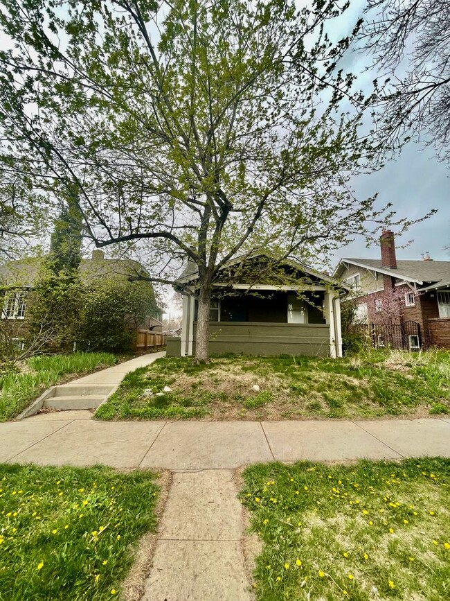 Primary Photo - This beautiful 3-bedroom (2 conforming and...