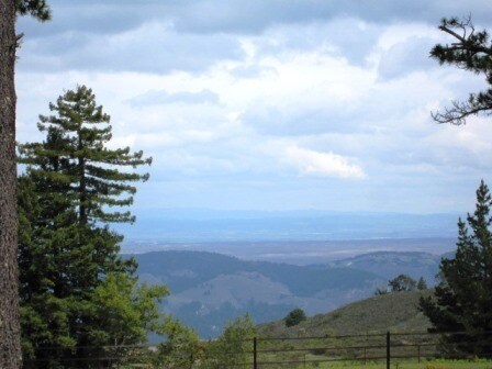 Building Photo - Carmel Highlands Mountain Top Stunning Vie...